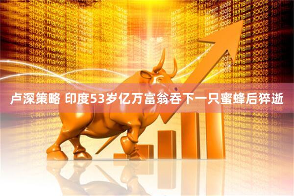 卢深策略 印度53岁亿万富翁吞下一只蜜蜂后猝逝