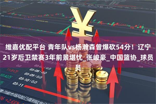 维嘉优配平台 青年队vs杨瀚森曾爆砍54分！辽宁21岁后卫禁赛3年前景堪忧_张峻豪_中国篮协_球员