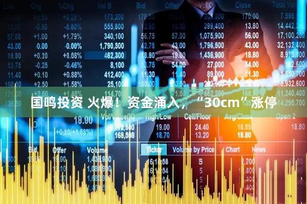 国鸣投资 火爆！资金涌入，“30cm”涨停