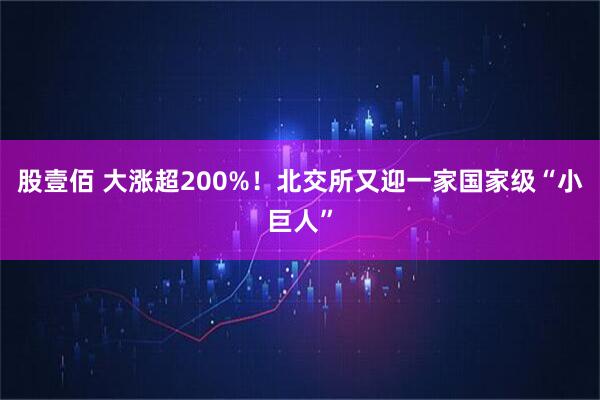 股壹佰 大涨超200%！北交所又迎一家国家级“小巨人”