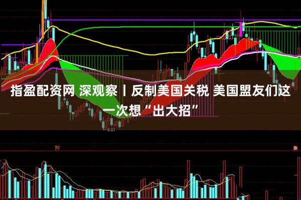 指盈配资网 深观察丨反制美国关税 美国盟友们这一次想“出大招”
