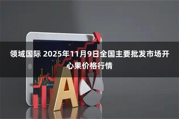 领域国际 2025年11月9日全国主要批发市场开心果价格行情