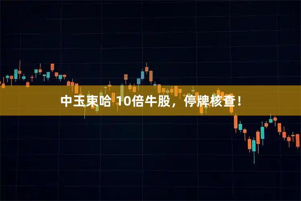 中玉束哈 10倍牛股,停牌核查!