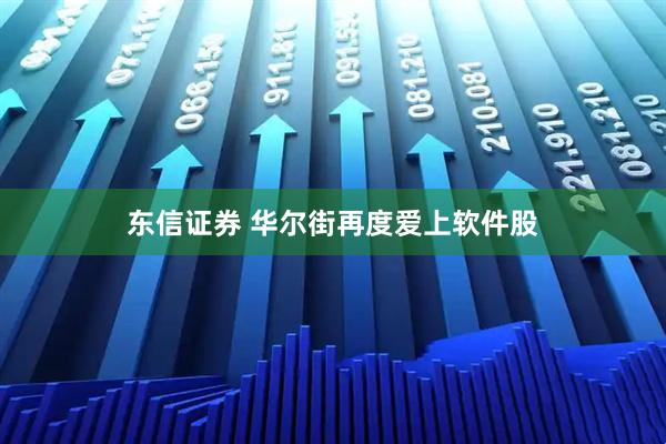 东信证券 华尔街再度爱上软件股
